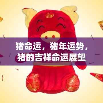猪年运势展望,猪的吉祥命运与事业展望