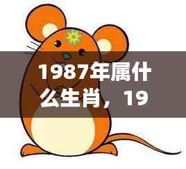 1987年属兔运势解析,生肖兔的运势与特点分析