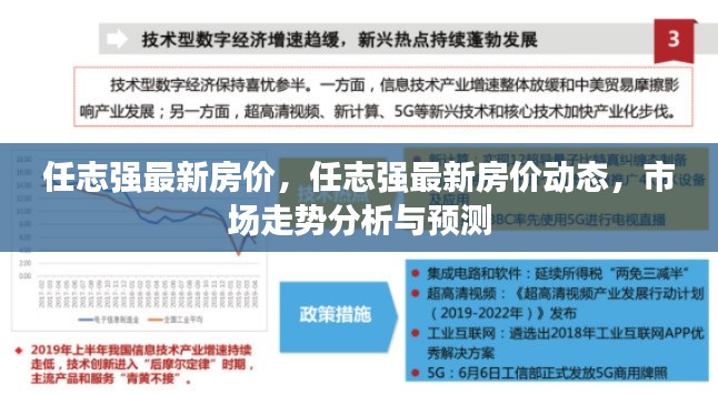 任志强最新房价动态及市场走势分析与预测