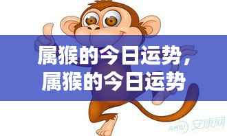 属猴今日运势详解