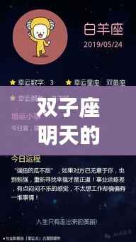 双子座明日运势展望,机遇与挑战并存,运势大放异彩