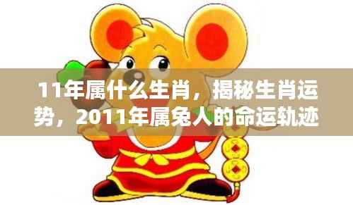 揭秘生肖运势,揭秘属兔人在2011年的命运轨迹