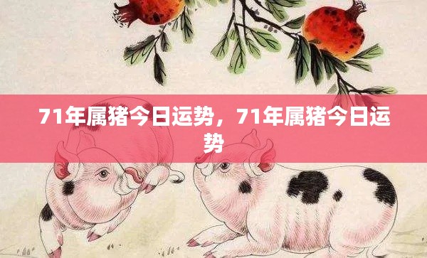 71年属猪人今日运势详解