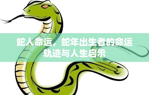 洵属可贵 第4页