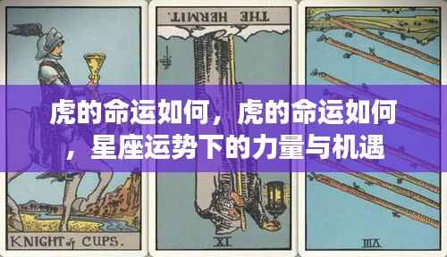 虎年星座运势下的力量与机遇,命运如何掌握在自己手中?