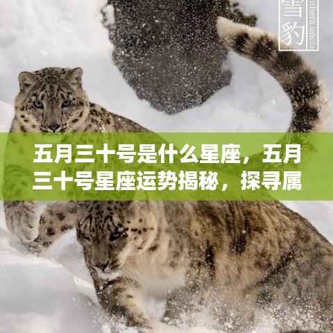 只争朝夕 第4页