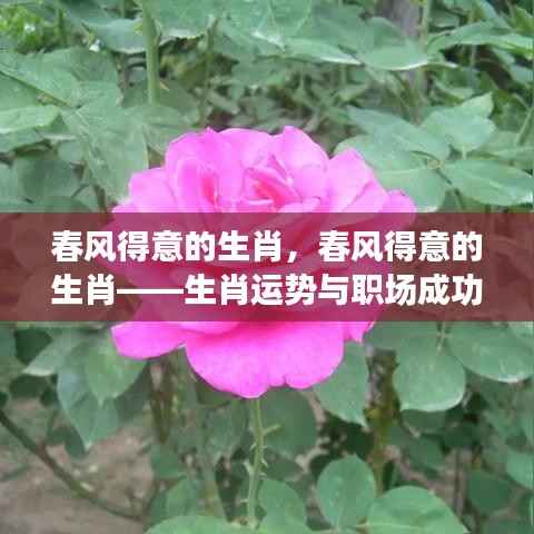 东成西就 第4页