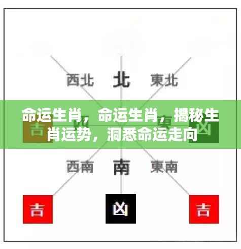 堂堂正正 第5页