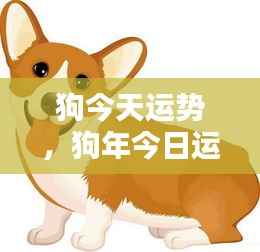 炊粱跨卫 第5页