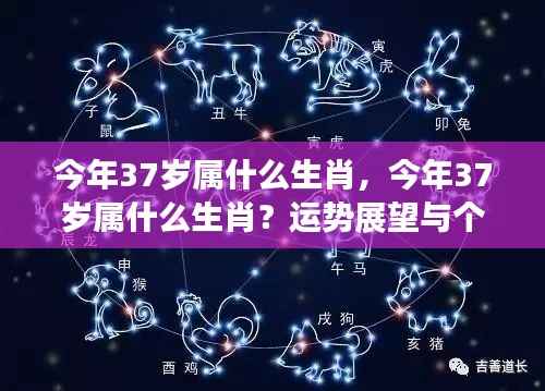 一本正经 第5页