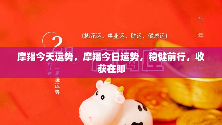 摩羯今日运势,稳健前行,收获在望