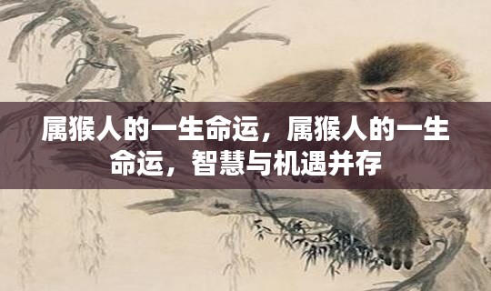 属猴人的智慧与机遇并存,一生命运解析