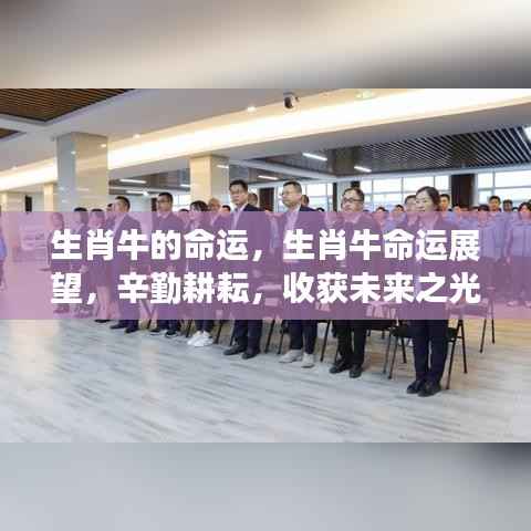 箪瓢陋室 第5页