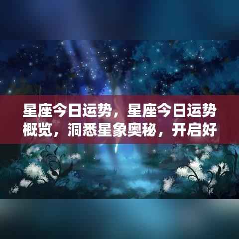 今日星座运势概览,洞悉星象奥秘,开启幸运之门