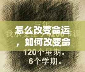 两袖清风 第4页