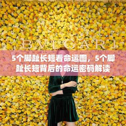 5个脚趾长短背后的命运密码,解读命运图揭示的奥秘