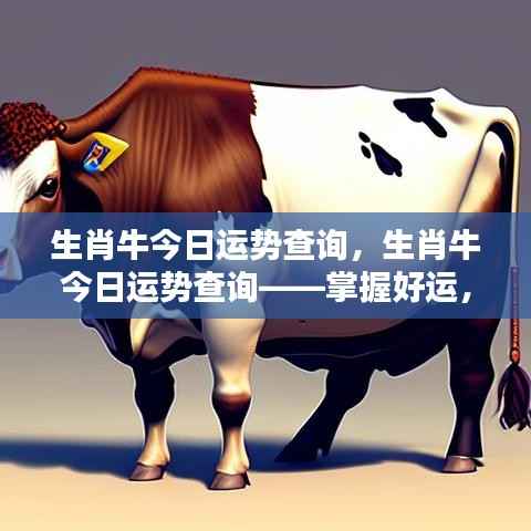 橘虞初梦 第4页