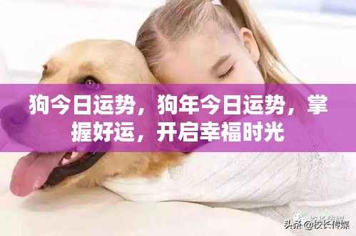 狗年今日运势揭秘,掌握好运,迎接幸福时光