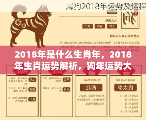 揭秘2018狗年运势,生肖运势详解与运势大揭秘