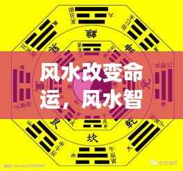 光明磊落 第4页