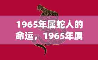 1965年属蛇人的命运解析,波折与机遇并存,命运之星指引