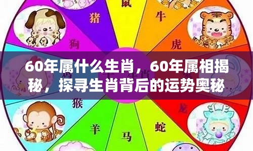 探寻生肖奥秘,揭秘属鼠人的运势秘密(60年属相深度解析)