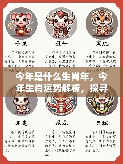 今年生肖运势解析,探寻属相之力,洞悉未来走向