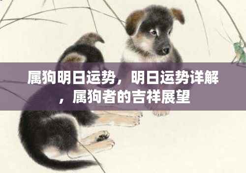 明日运势详解,属狗者的吉祥展望