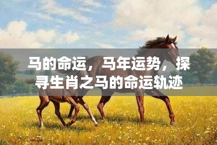 物以稀为贵 第4页