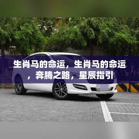 生肖马命运揭秘,星辰指引下的奔腾之路