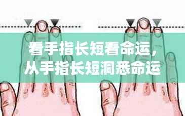 从手指长短洞悉命运走势,手相学中的秘密揭示命运长短与走势的真相