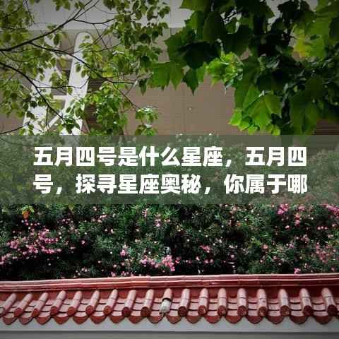 五月四号星座探寻,揭秘你的星座奥秘