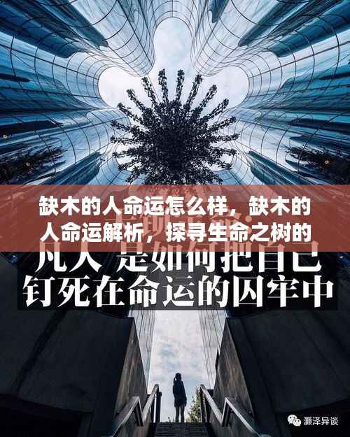缺木者的命运解析,探寻生命之树的平衡与影响