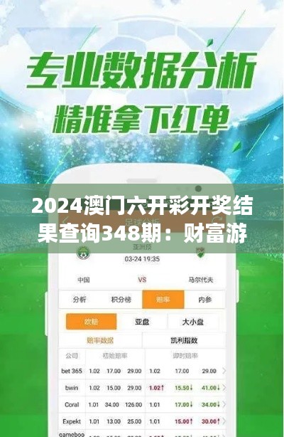 2024澳门六开彩开奖结果查询348期:财富游戏的魅力所在