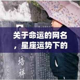 屈尊就卑 第4页