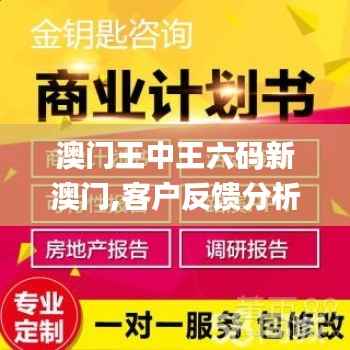 澳门王中王六码新澳门,客户反馈分析落实_1440p13.541