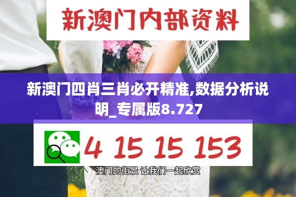 新澳门四肖三肖必开精准,数据分析说明_专属版8.727