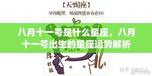 八月十一号星座运势解析,揭秘你的星座性格与未来走向
