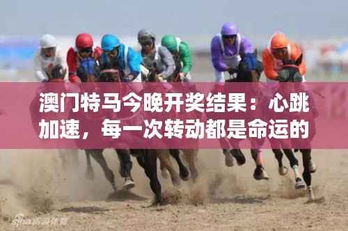 澳门特马今晚开奖结果:心跳加速,每一次转动都是命运的转弯