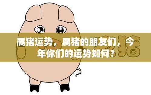 属猪运势大揭秘,今年你的运势走向如何?