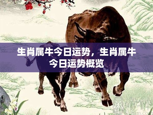 生肖属牛今日运势概览分析