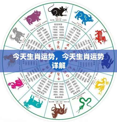 今日生肖运势详解,全方位解析你的生肖运势!