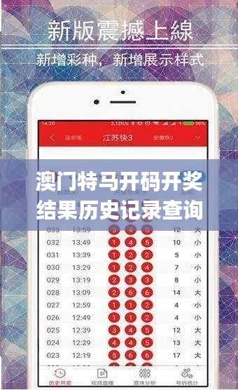 澳门特马开码开奖结果历史记录查询,综合分析解释定义_挑战款18.156