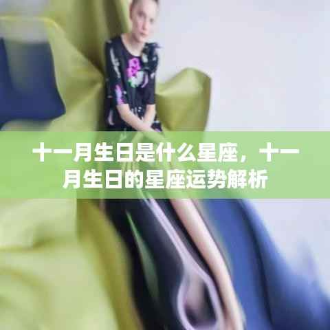 十一月生日星座运势深度解析,探寻星座奥秘,揭秘十一月运势走向