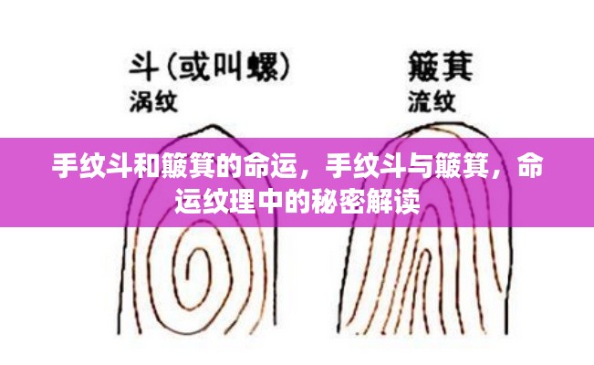 落落大方 第5页