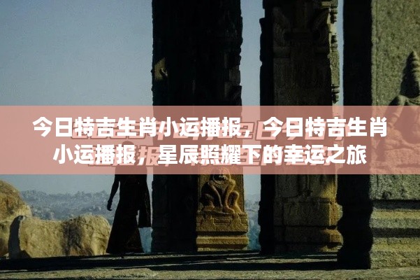 星辰照耀下的今日特吉生肖小运播报,幸运之旅开启