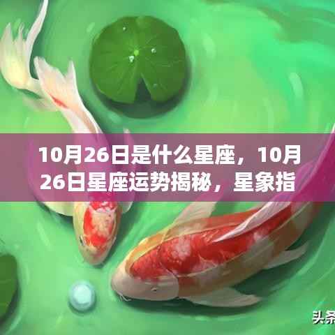 10月26日星座运势揭秘,独特魅力与星象指引下的幸运日
