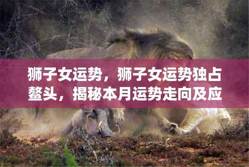 博古通今 第3页