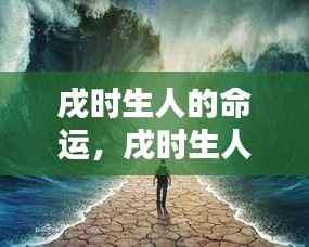 戌时生人的独特命运,星辰照耀下的命运轨迹