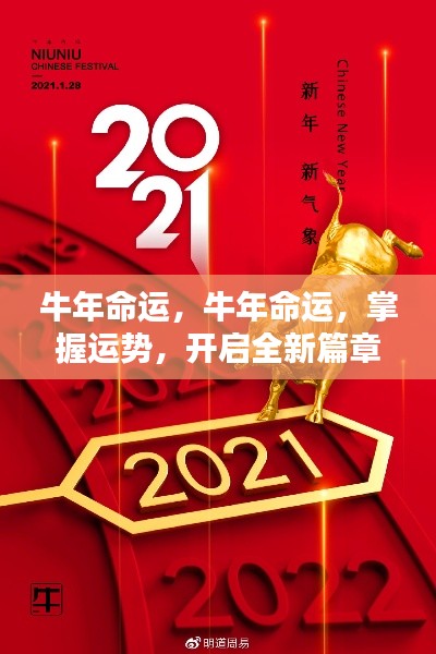 牛年运势揭秘,掌握命运之轮,开启全新篇章之旅